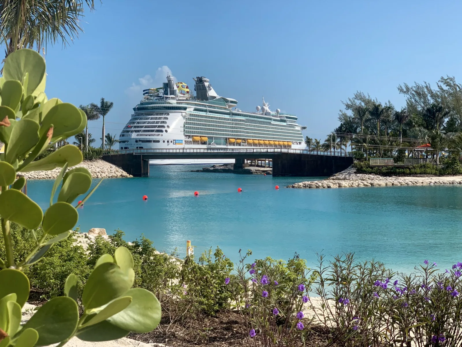 MSC World Asia Unveils Exciting Entertainment Lineup for 2026