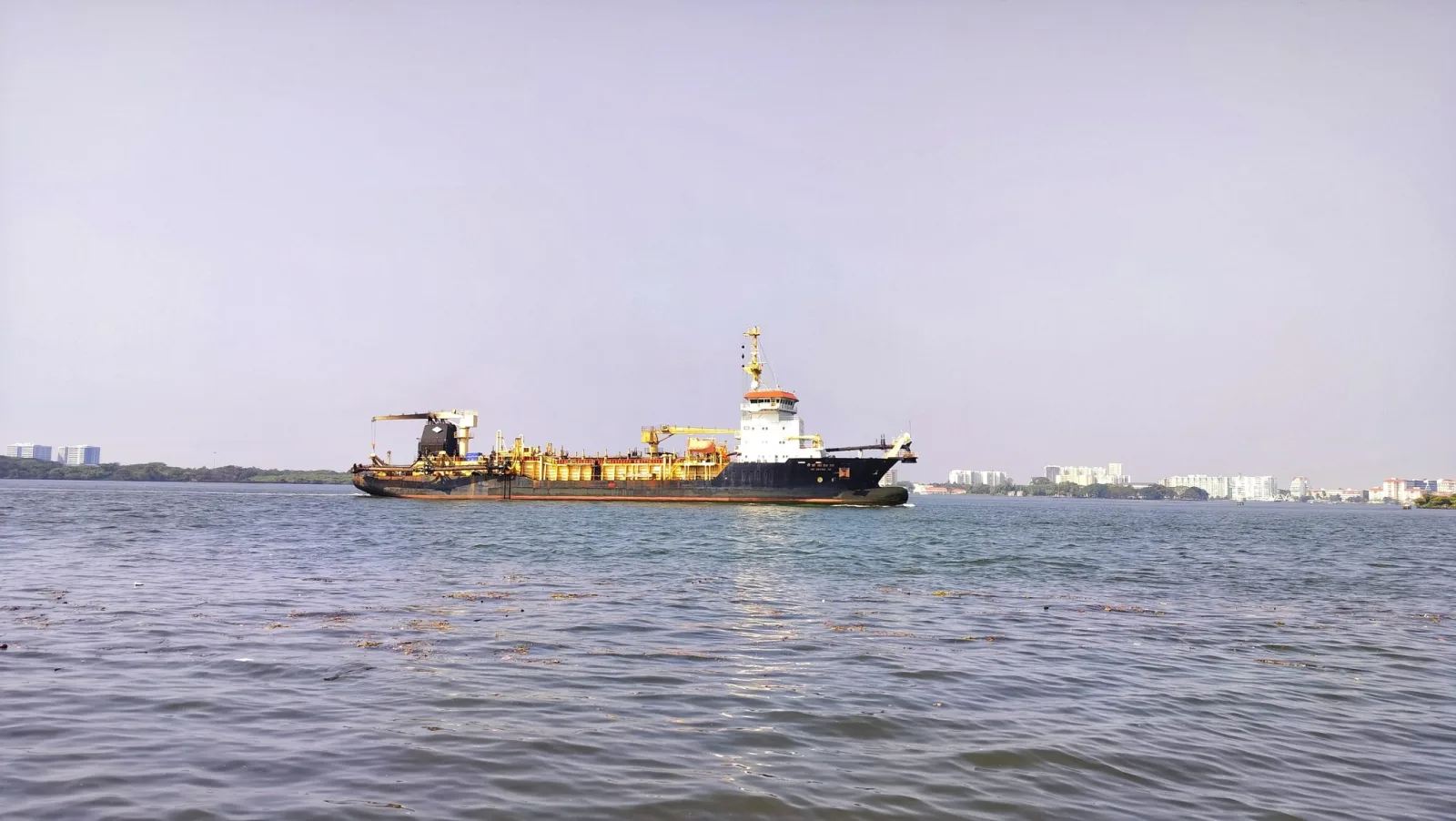 Tryst Cruises: The Ultimate LGBTQ+ Experience at Sea