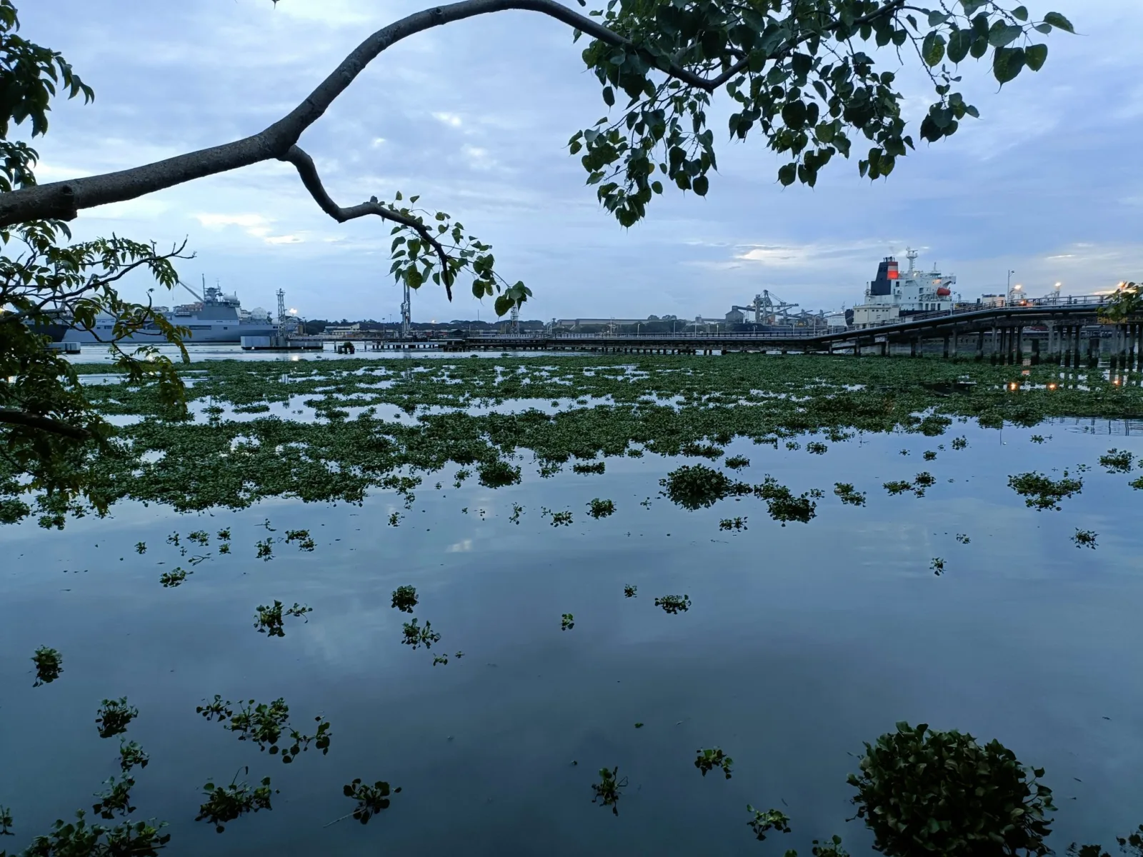 TUI Cruises Embraces Biofuels and AI for Greener Voyages